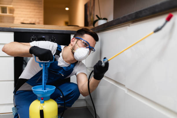 Best Rat Extermination Near Me  in Bryans Road, MD