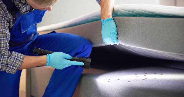Best Pest Prevention Services  in Bryans Road, MD