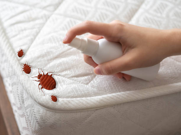 Best Pest Prevention Services  in Bryans Road, MD